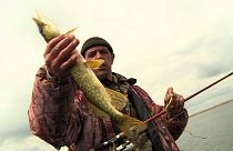 الصيد في نهر الفولغا