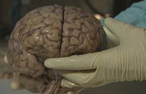 آخرین پژوهشها درباره حیرت آورترین اسرار مغز انسان