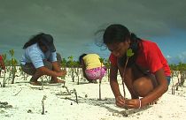 Galápagos, Burkina Faso, Kiribati: a speciális oktatás segíthet