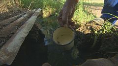 Alerta de seca em África