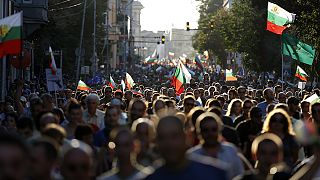 Are Bulgarians allergic to government?