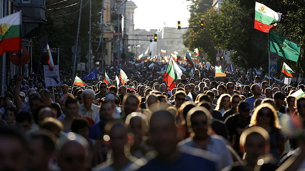 Are Bulgarians allergic to government? Are Bulgarians allergic to government?