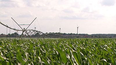 Intelligent irrigation: growing green Intelligent irrigation: growing green