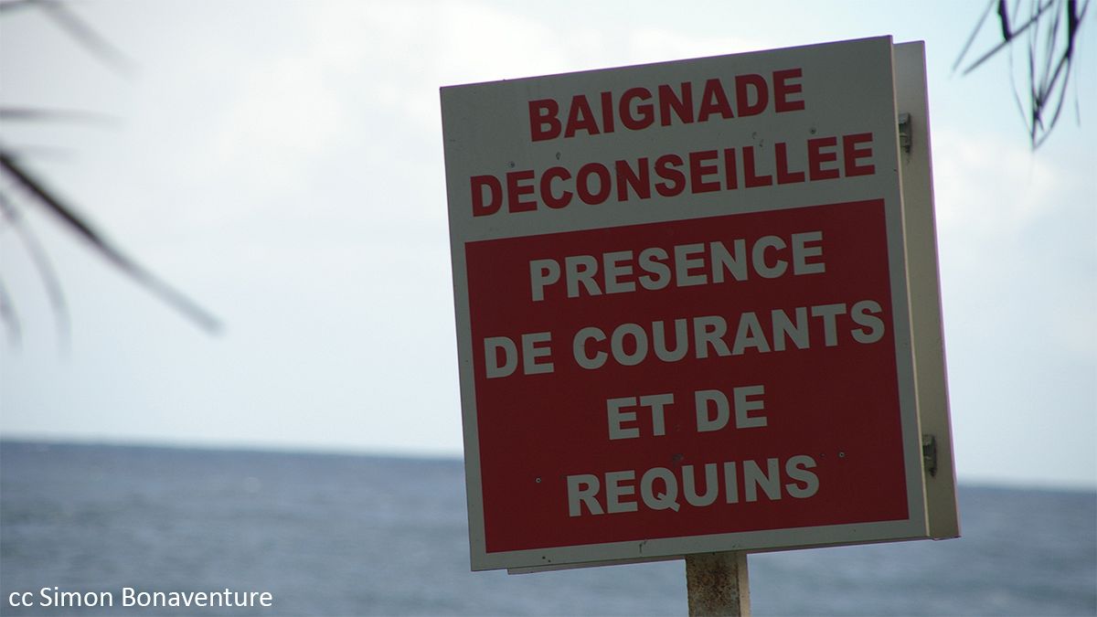 Reunion Island: teenager killed by shark attack