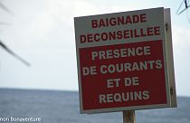 Reunion Island: teenager killed by shark attack