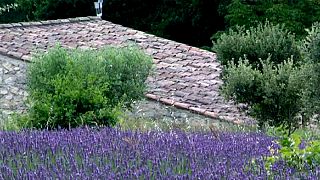 La guerre des parfums a commencé