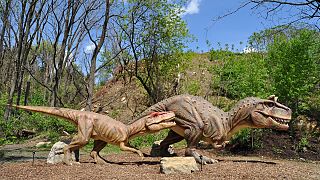 Australian billionaire given go-ahead for world’s largest dinosaur park