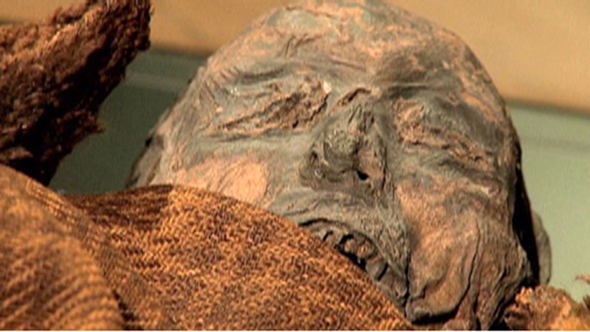 Múmiát találtak a német nagymama padlásán