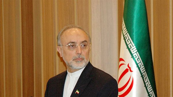 علی اکبر صالحی به پست ریاست آژانس انرژی اتمی بازگشت علی اکبر صالحی به پست ریاست آژانس انرژی اتمی بازگشت