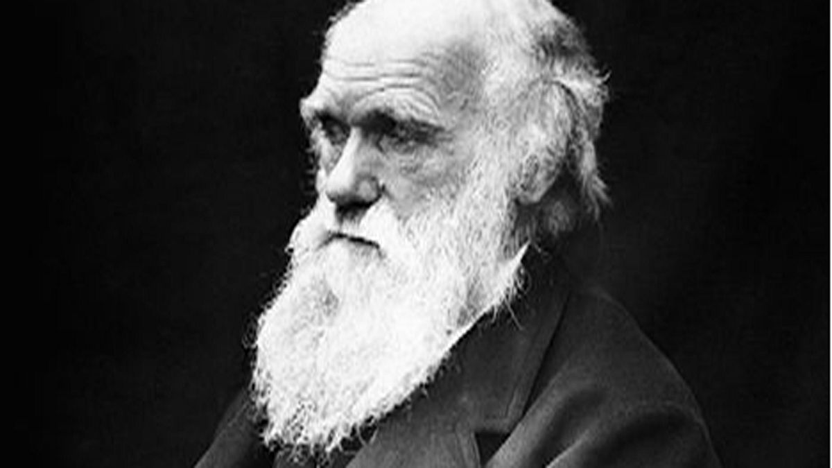 Rétromachine : publication de la théorie de Darwin