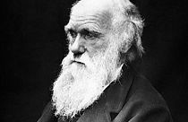 Rétromachine : publication de la théorie de Darwin