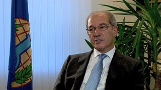 Prohibition of Chemical Weapons chief talks to euronews