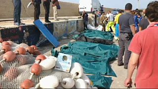 Dozens of migrants drown off Lampedusa in new boat tragedy