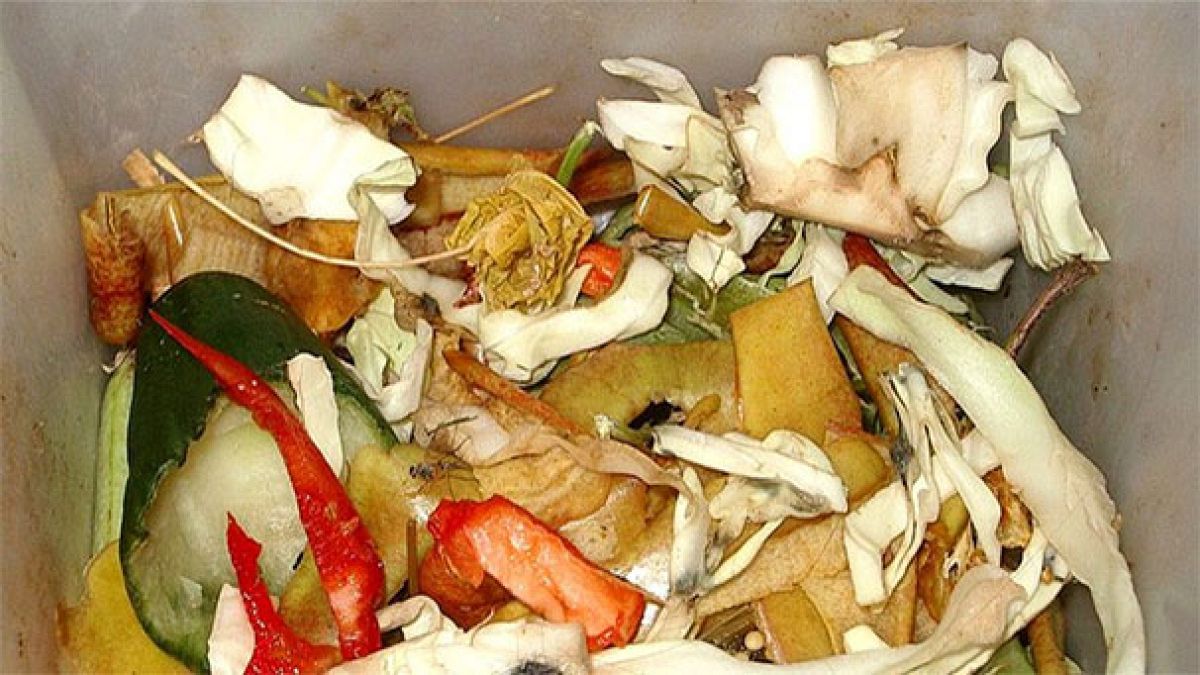 Shock as Tesco says it threw away nearly 30,000 tonnes of food in six months