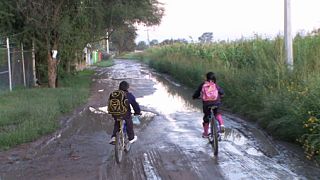 По дороге в школу: дикие звери и проливные дожди