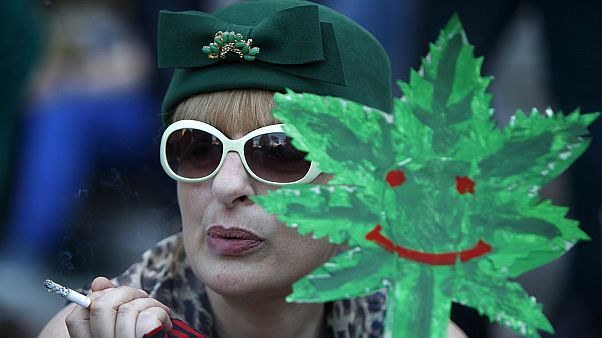 Milliárdos adóbevételt jelentene a kannabisz legalizálása Milliárdos adóbevételt jelentene a kannabisz legalizálása