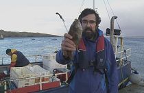 جزيرة أرانمور: القوانين الأوربية تحمي الأسماك وتضر بالصيادين