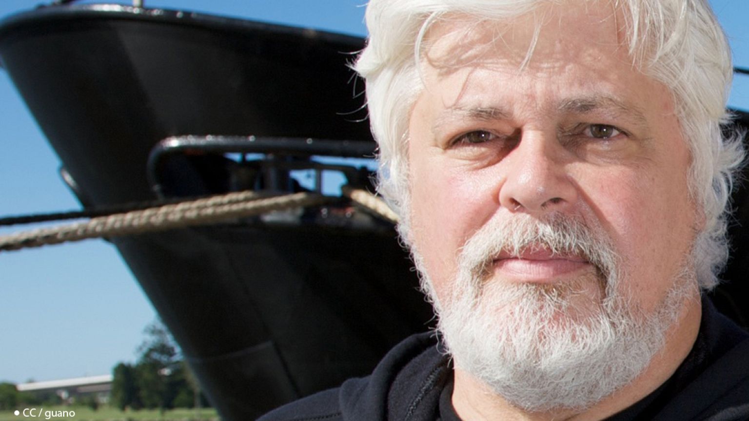 Paul Watson, le garde du corps des baleines
