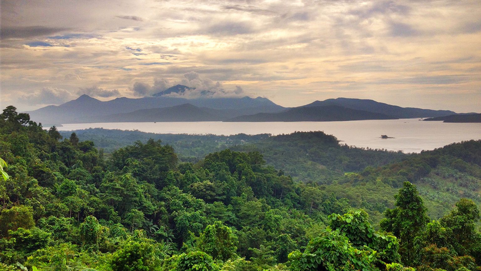 Traveller's diary: Palawan