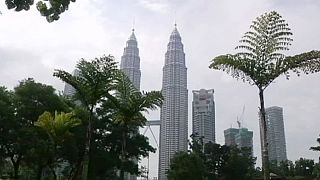 Asya kaplanı Malezya