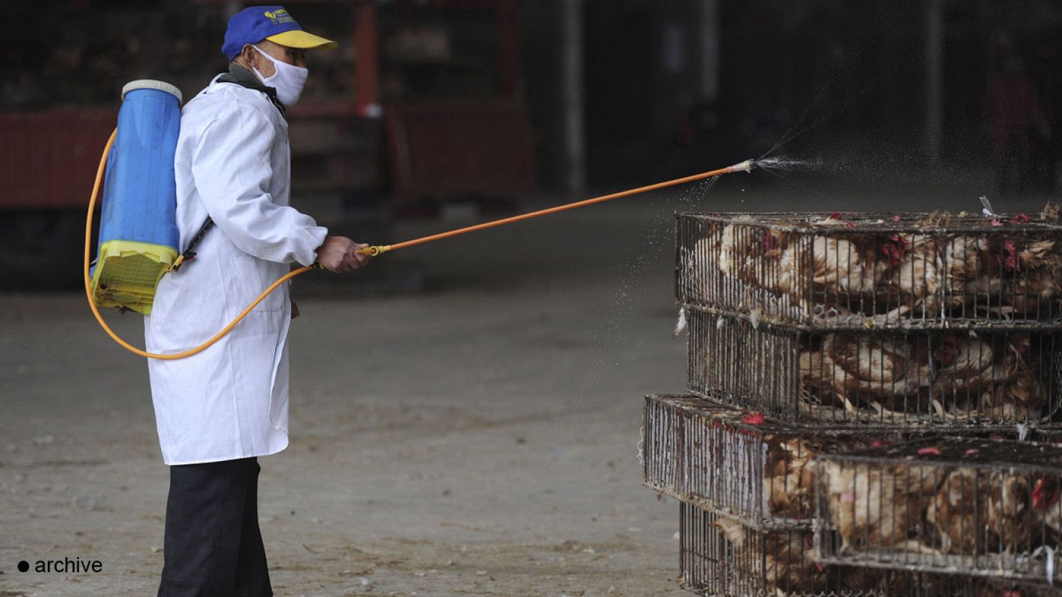 Un premier décès dû à la grippe A(H7N9) à Hong Kong