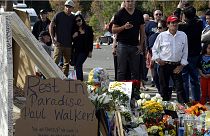 Video von Paul Walkers tödlichem Crash