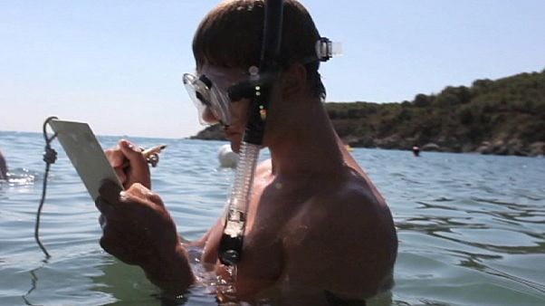 Enseñar el aire, el agua y el fuego Enseñar el aire, el agua y el fuego