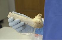 کشف قدیمی ترین دی ان آی انسان در اسپانیا