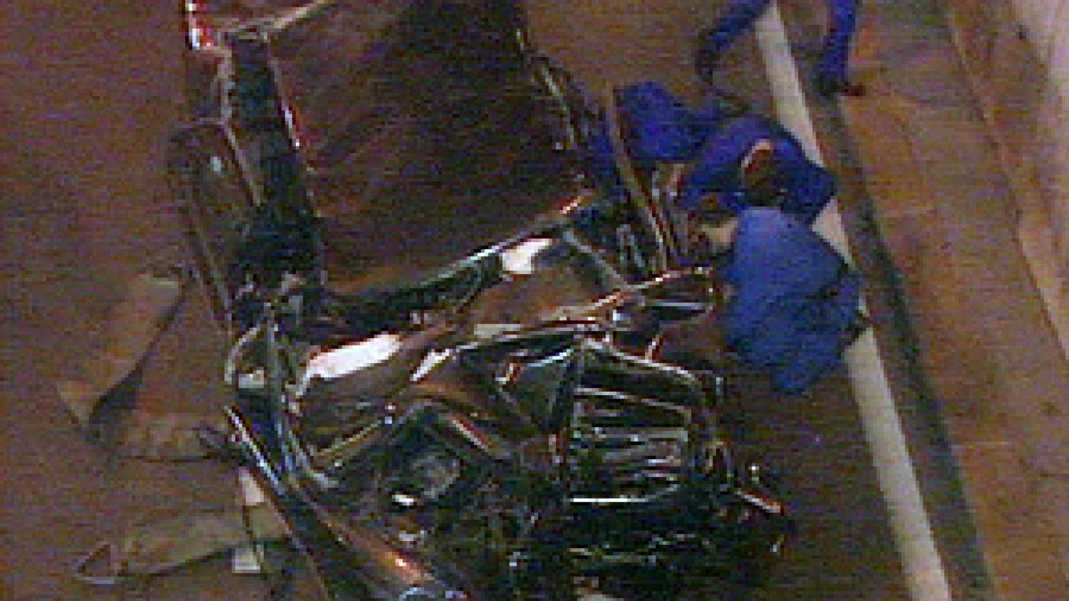 Princess Diana’s death: The conspiracy theory ruled out