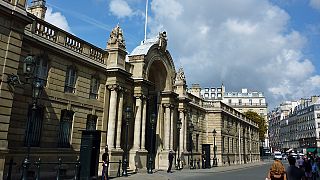 Protesting theatre director rams French palace gate