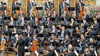 Center stage: The Vienna Philharmonic Orchestra