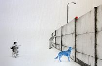 Paris’s blue dog and wall of separation