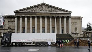 Descarga toneladas de estiércol ante la Asamblea Nacional francesa