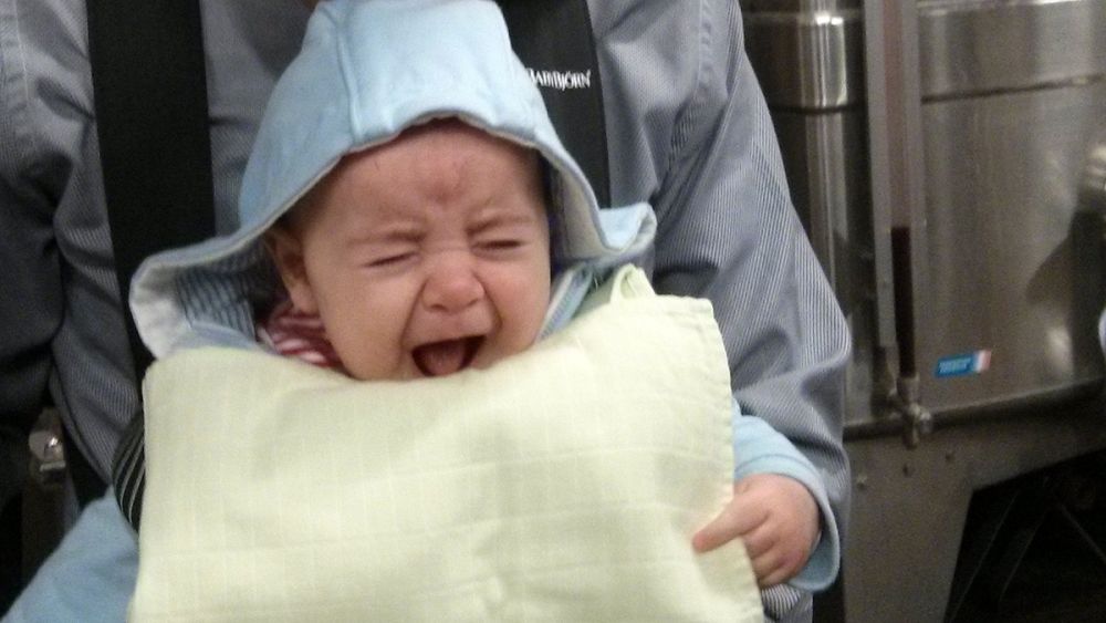 infants-do-fake-cry-to-get-attention-study-shows-euronews