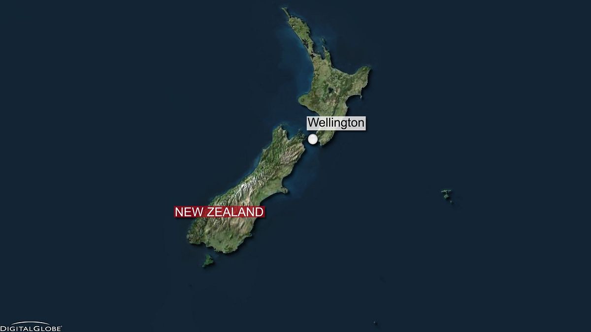 Le tremblement de terre en Nouvelle-Zélande capturé en vidéo