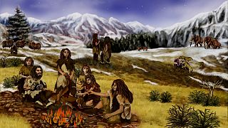 Prone to illness? Blame the Neanderthals