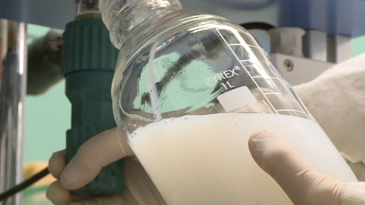 Is an Elixir of Youth Possible?