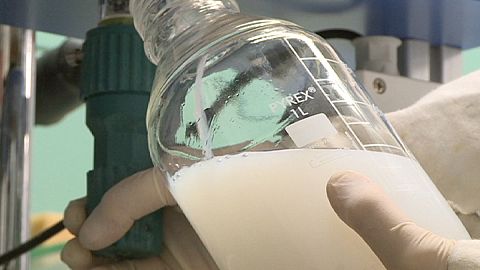 Is an Elixir of Youth Possible?