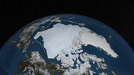 See Arctic surface darkening faster