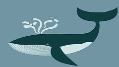 Can fish feel earthquakes?