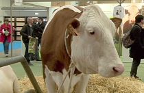 Moderna, biologica e pronta ad assumere. L'agricoltura in mostra a Parigi