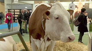International Agriculture Show: farming for the future