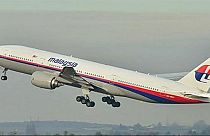 Les internautes mis à contribution pour retrouver le vol MH370