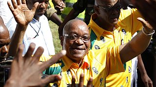 Südafrikas Präsident Zuma ließ sich "als Sicherheitsmaßnahme" auch einen Pool bauen