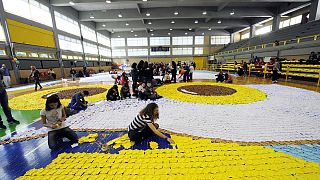 Ελλάδα: Η μεγαλύτερη κουκουβάγια του κόσμου πετάει για τα ρεκόρ Γκίνες