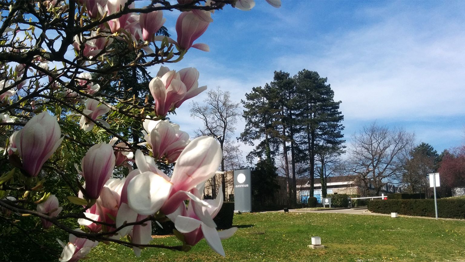 Twitter joins in celebrations of Nowruz, the Persian New Year