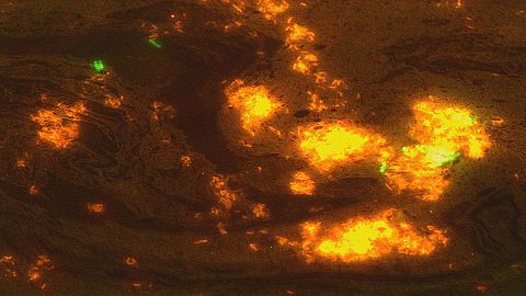 Do you know: can we eat toxic waste?
