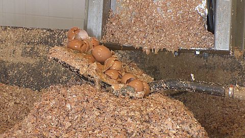 Longer life for broken eggs