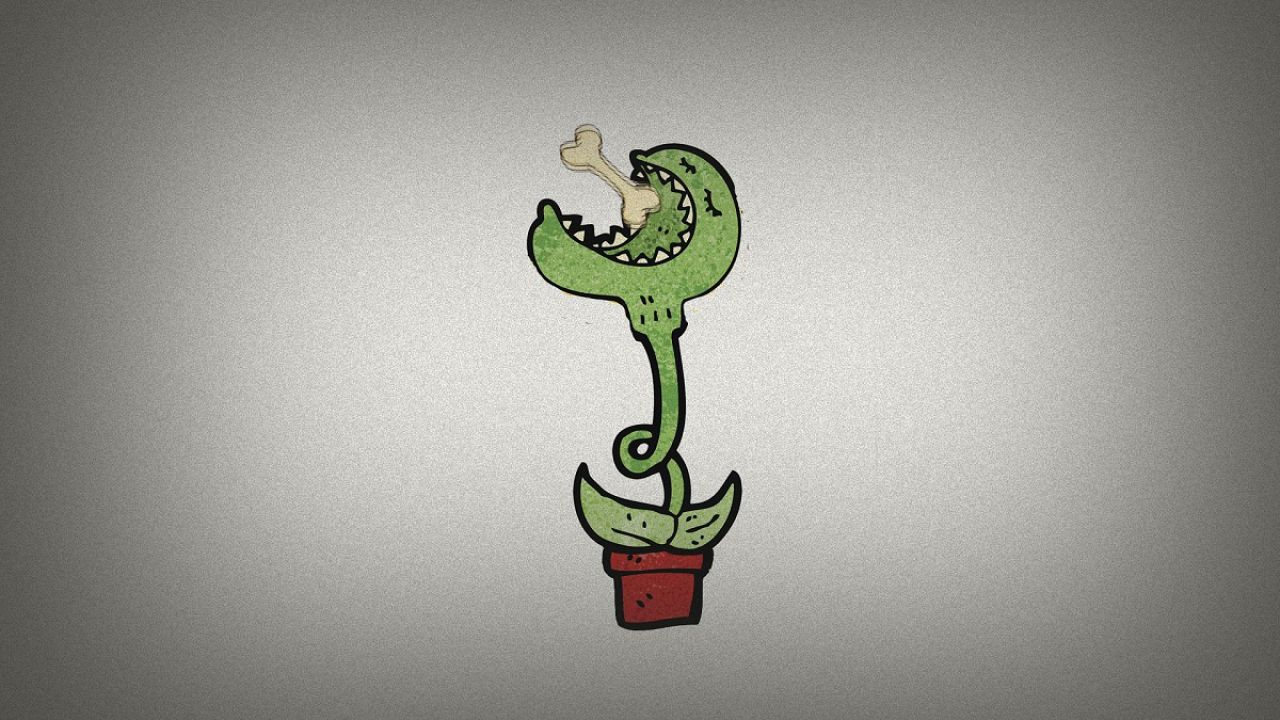 Do you know: do plants eat skeletons? Do you know: do plants eat skeletons?