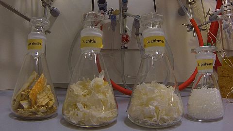 From crab shells to raw materials